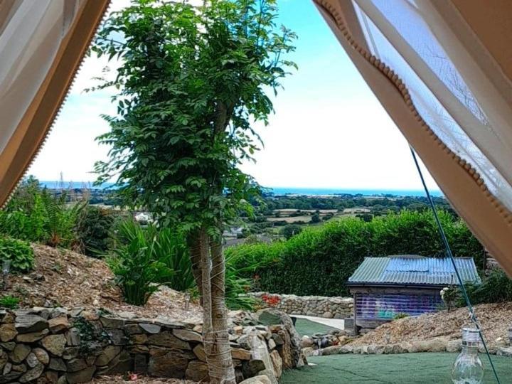 מלון קרלינגפורד Fairy Cove At Rosemount Glamping מראה חיצוני תמונה