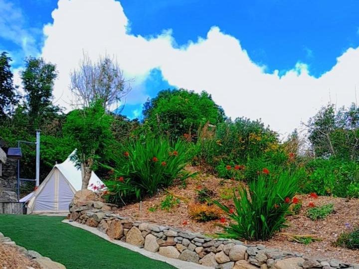 מלון קרלינגפורד Fairy Cove At Rosemount Glamping מראה חיצוני תמונה