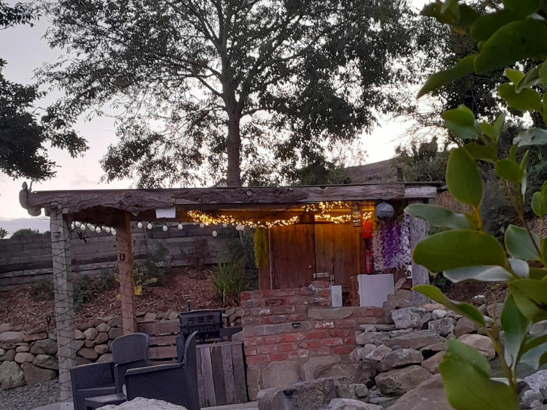 מלון קרלינגפורד Fairy Cove At Rosemount Glamping מראה חיצוני תמונה